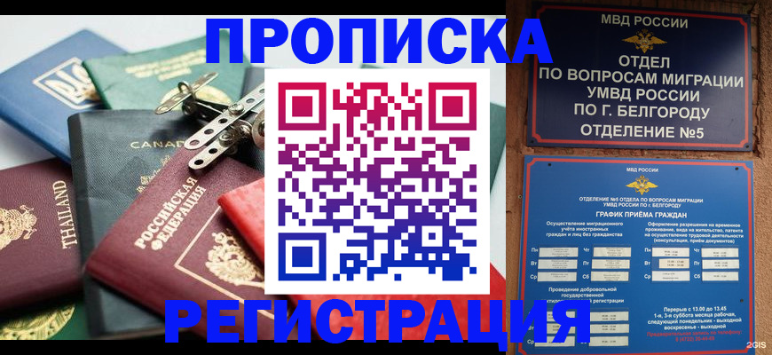 временная регистрация недорого в Ельне